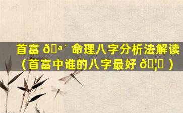 首富 🪴 命理八字分析法解读（首富中谁的八字最好 🦆 ）